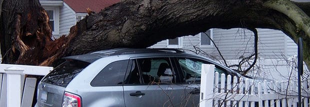 Sydney’s ‘catastrophic’ storm